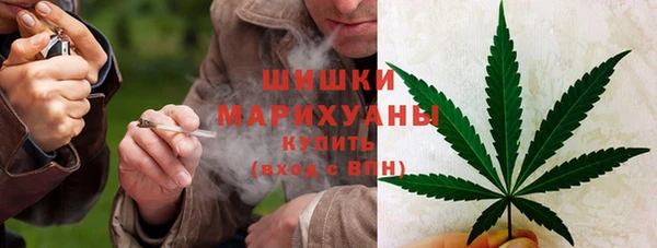 прущий лед Ивангород