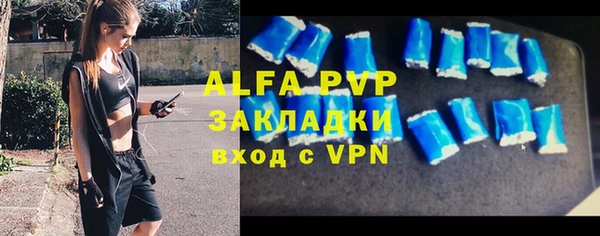 шишки Беломорск