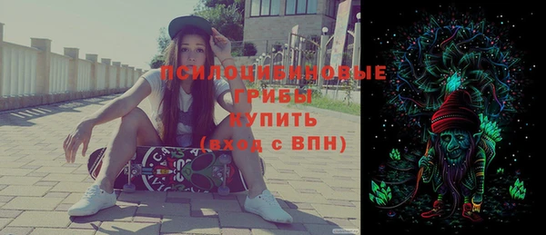 шишки Беломорск