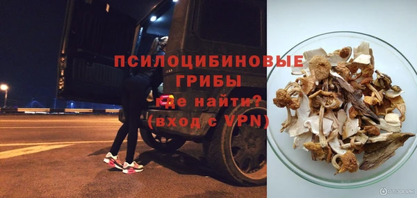 apvp Белокуриха