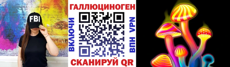 Псилоцибиновые грибы Psilocybine cubensis  Кузнецк 
