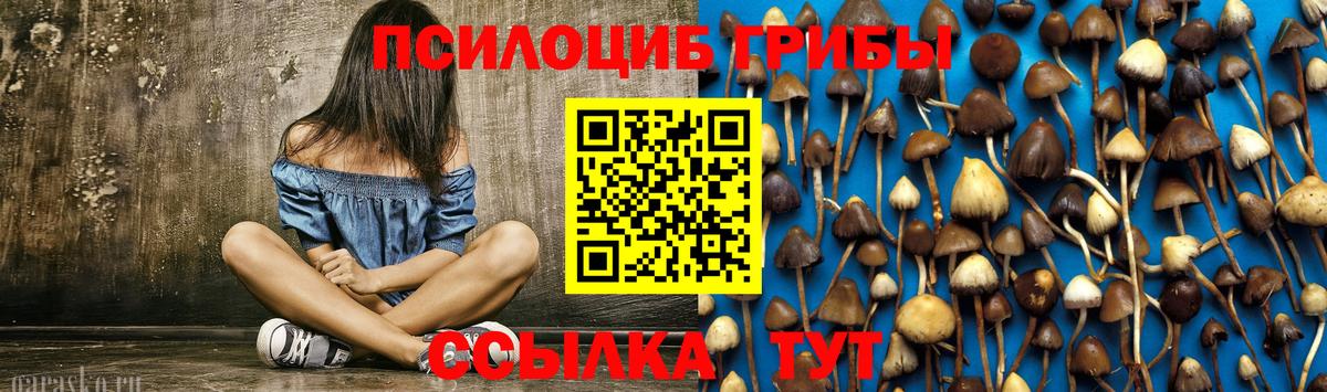 Галлюциногенные грибы GOLDEN TEACHER Кузнецк
